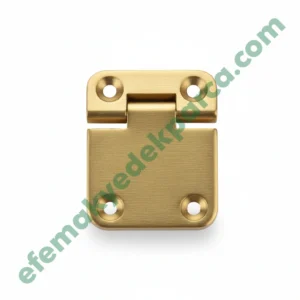 BDB710040 Kapi Mentesesi Alt Sag - Door Hinge Bottom Right